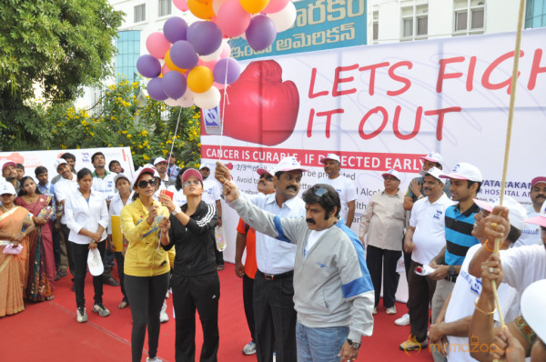 Stars At Cancer Awareness 2013 Event 