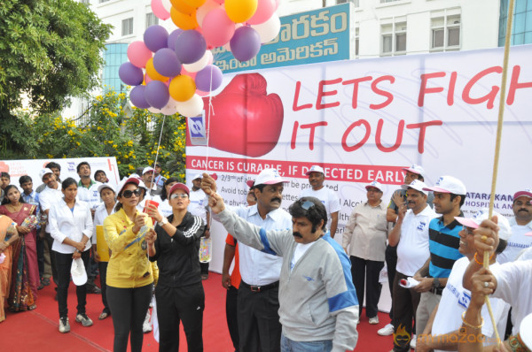 Stars At Cancer Awareness 2013 Event 