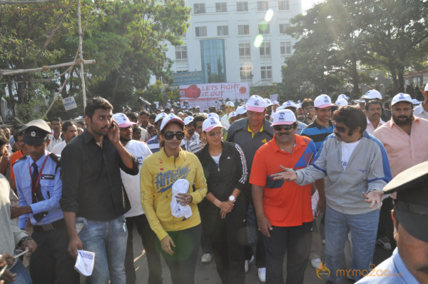 Stars At Cancer Awareness 2013 Event 