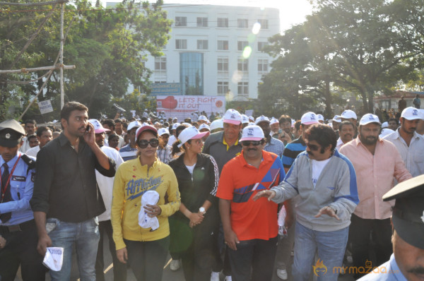 Stars At Cancer Awareness 2013 Event 