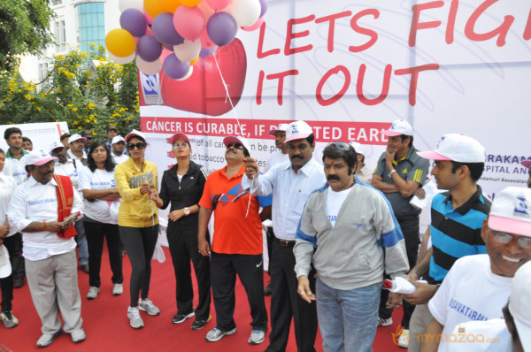 Stars At Cancer Awareness 2013 Event 