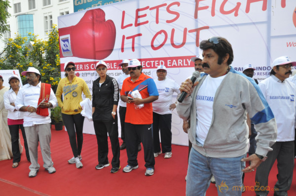 Stars At Cancer Awareness 2013 Event 