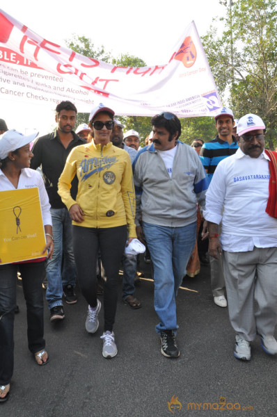 Stars At Cancer Awareness 2013 Event 