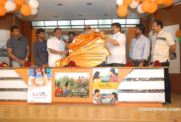 Telisi Teliyaka Movie Audio Launch Photos