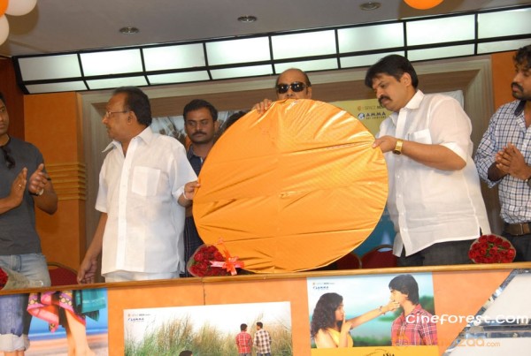 Telisi Teliyaka Movie Audio Launch Photos