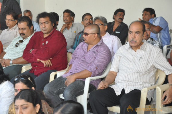 Telugu Film Industry Protest Against Service Tax 