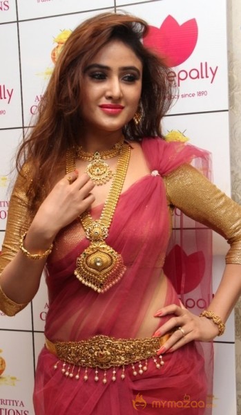 Telugu Hot Models Akshaya Tritaya Celebrations