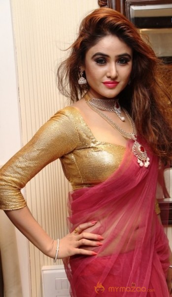 Telugu Hot Models Akshaya Tritaya Celebrations