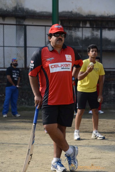  Telugu Warriors Vs Bengal Tigers CCL 3 Match Gallery 