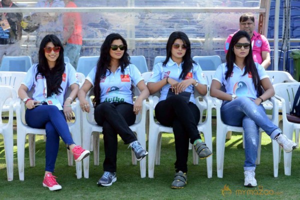 Telugu Warriors Vs Bhojpuri Dabanggs CCL 3 Match Gallery 