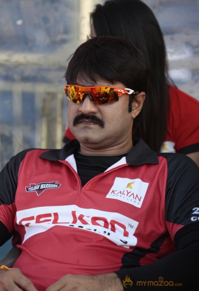 Telugu Warriors Vs Bhojpuri Dabanggs CCL 3 Match Gallery 