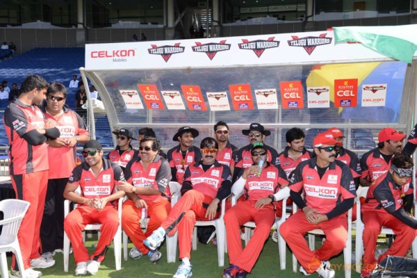 Telugu Warriors Vs Bhojpuri Dabanggs CCL 3 Match Gallery 