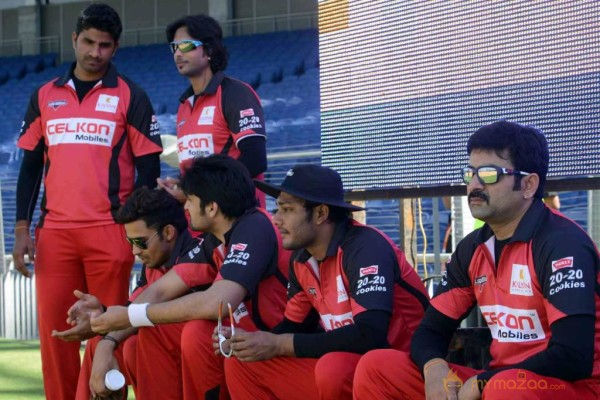 Telugu Warriors Vs Bhojpuri Dabanggs CCL 3 Match Gallery 