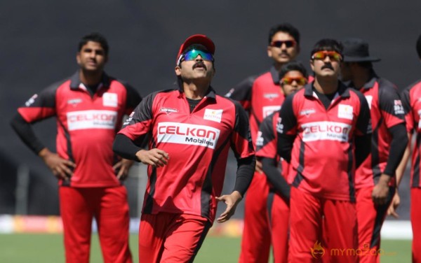 Telugu Warriors Vs Bhojpuri Dabanggs CCL 3 Match Gallery 