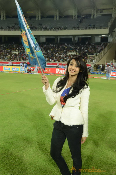 Telugu Warriors Vs Karnataka Bulldozers CCL 3 Match Gallery 