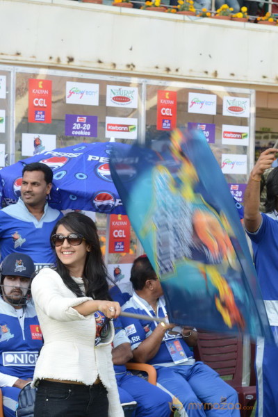 Telugu Warriors Vs Karnataka Bulldozers CCL 3 Match Gallery 