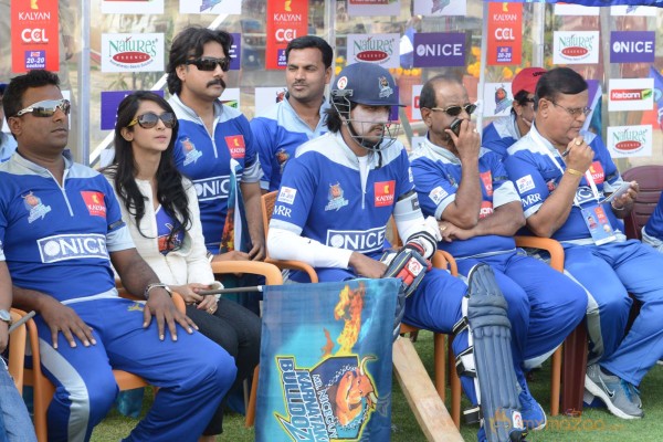 Telugu Warriors Vs Karnataka Bulldozers CCL 3 Match Gallery 