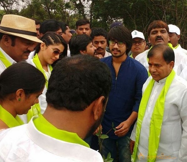 Tollywood Stars great initiative for Haritha Haram in Hyderabad