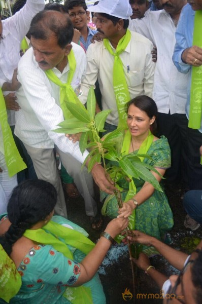 Tollywood Stars great initiative for Haritha Haram in Hyderabad