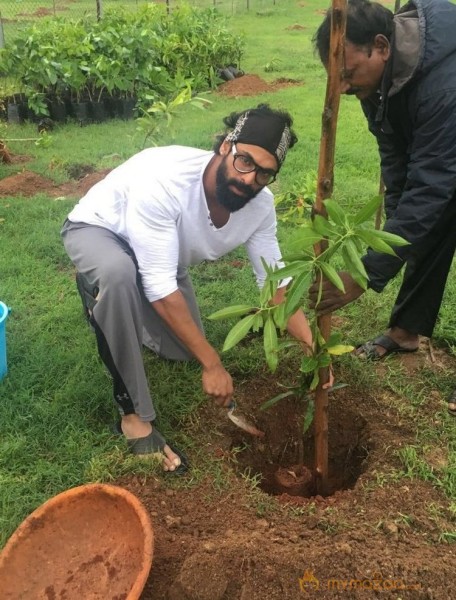 Tollywood Stars great initiative for Haritha Haram in Hyderabad