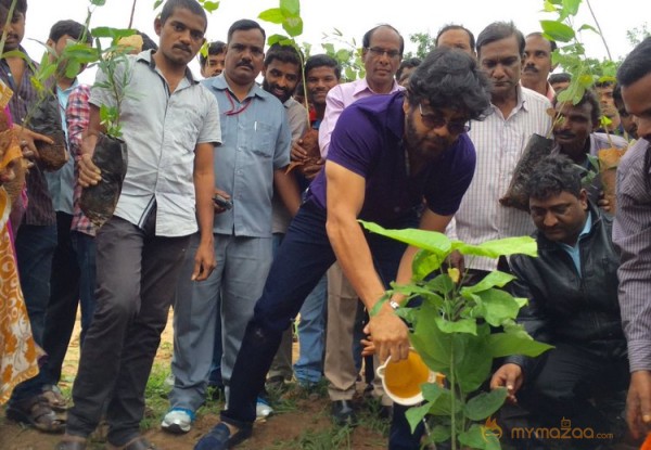 Tollywood Stars great initiative for Haritha Haram in Hyderabad