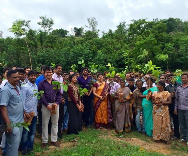 Tollywood Stars great initiative for Haritha Haram in Hyderabad