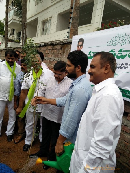 Tollywood Stars great initiative for Haritha Haram in Hyderabad