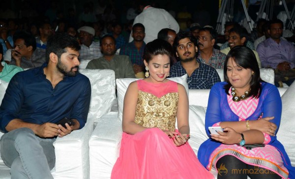  Tungabhadra Movie Audio Launch 