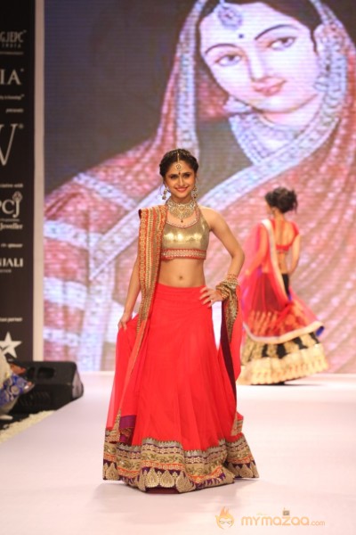 TV Celebs Walk the Ramp at IIJW 2013