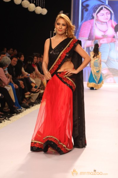 TV Celebs Walk the Ramp at IIJW 2013