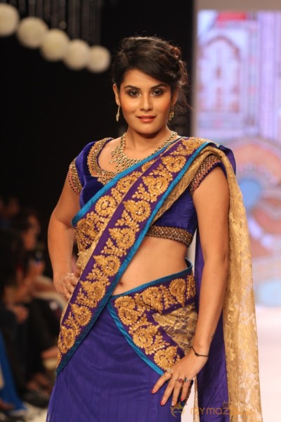 TV Celebs Walk the Ramp at IIJW 2013