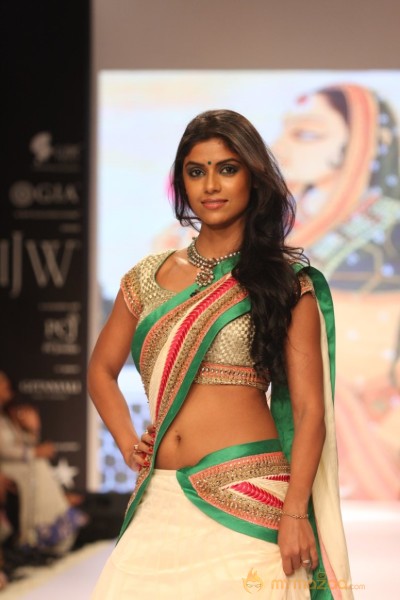 TV Celebs Walk the Ramp at IIJW 2013