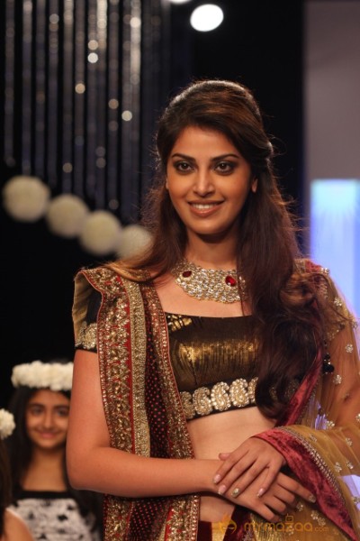 TV Celebs Walk the Ramp at IIJW 2013