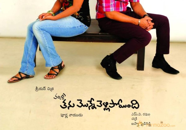 Vamsi Thanu Monne Vellipoyindi New Posters