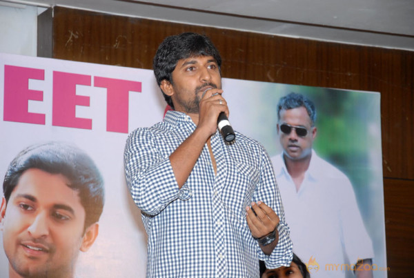 Yeto Vellipoyindi Manasu Movie Success Meet Photos