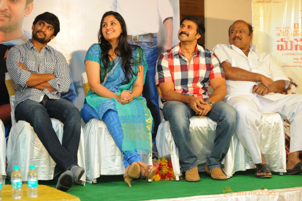 Yeto Vellipoyindi Manasu Movie Success Meet Photos