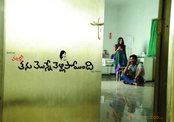 Vamsi's Tanu Monne Vellipoindi Movie First Look  