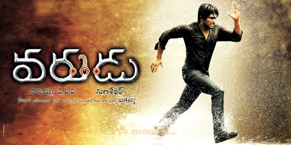 Allu Arjun Varudu Movie