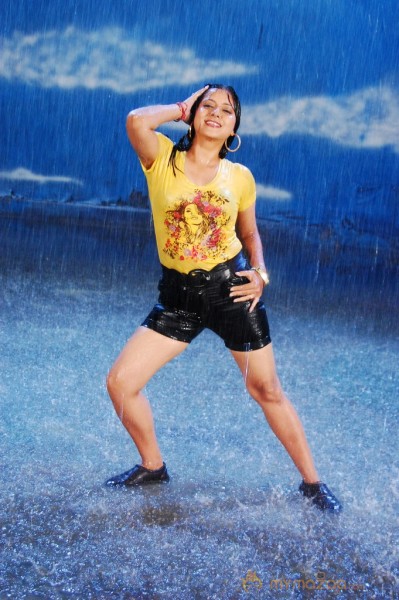 Bhaja Bhajantrilu Movie Spicy Stills 