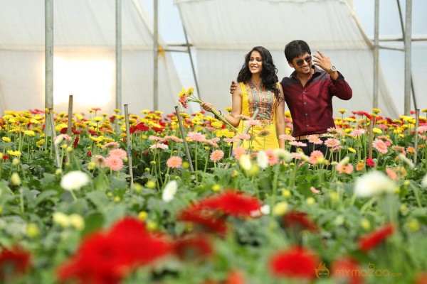 Bhale Bhale Magadivoi Movie Latest Stills