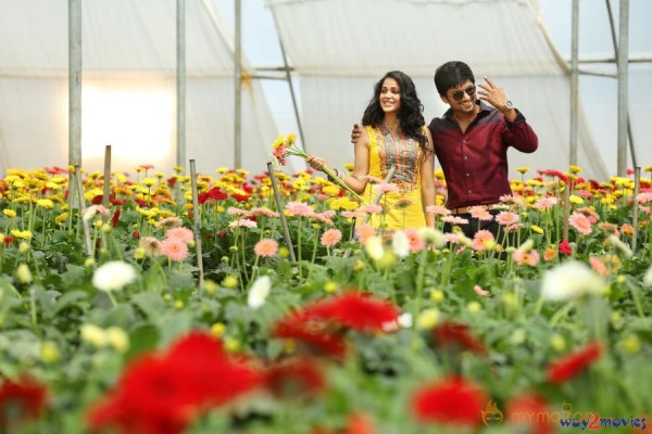 Bhale Bhale Magadivoy Movie New Stills 