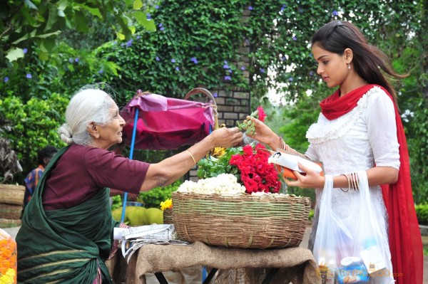 Genelia In Katha 