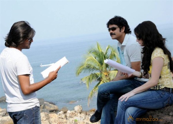 kedi working stills 