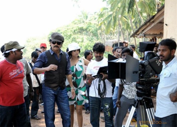 kedi working stills 