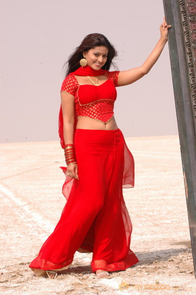 Mondi Mogudu Movie Latest Gallery 