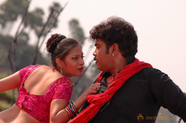 Mondi Mogudu Movie Latest Gallery 