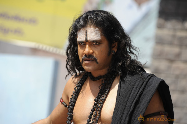 Nagarjuna In Sri Jagadguru Adi Shankara Movie Stills 