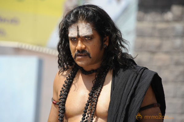 Nagarjuna In Sri Jagadguru Adi Shankara Movie Stills 