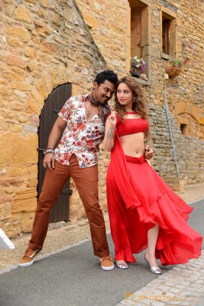 Nagarjuna Karthi Oopiri Telugu Movie Stills