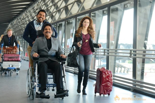 Nagarjuna Karthi Oopiri Telugu Movie Stills